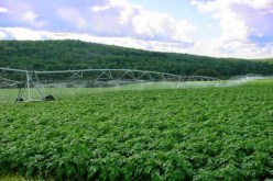 قيمة الإنتاج الفلاحي الوطني بلغت 35 مليار دولار سنة 2014