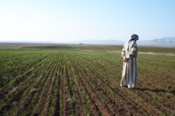 المرحوم مسرور… هو بخير في دار الحق