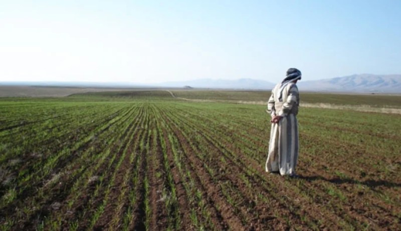 المرحوم مسرور… هو بخير في دار الحق