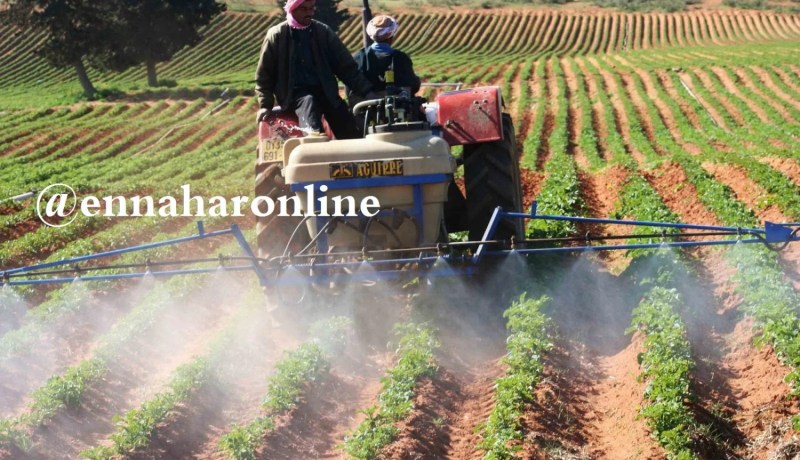«بطاقة مهنية لكل فلاح بداية من 2019»