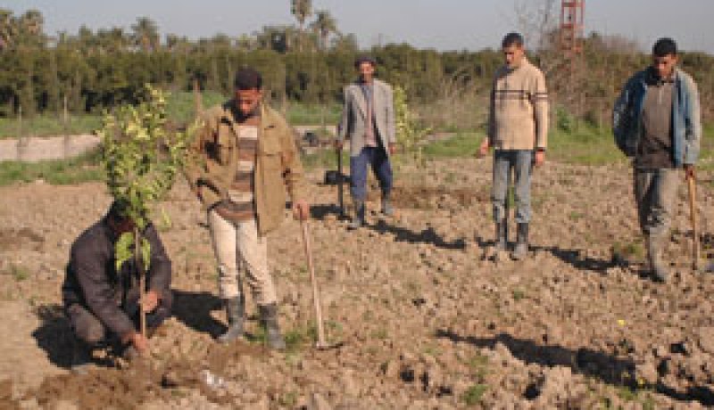 النهار تنشر النص الكامل لمشروع يضبط استغلال الأراضي الفلاحية