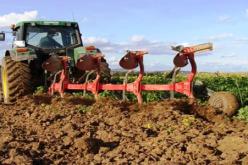 ترقب بذر مساحة 80 ألف هكتار من الحبوب بالبويرة