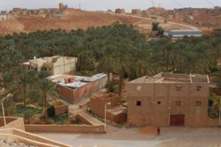 فيما تجاوزت خسائر العقار بالبياضة 40 مليار سنتيم:السمسرة والبزنسة بالأراضي البيضاء تلهب اسعار العقار بالوادي