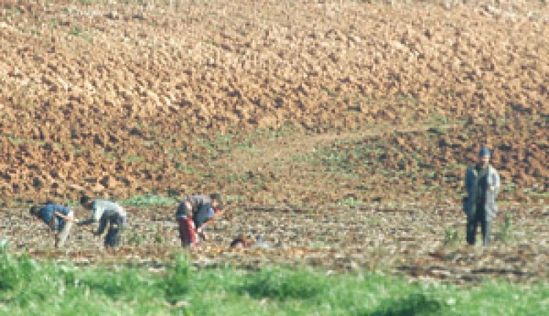 مديرية الفلاحة تنظم الأيام التكوينية حول التنمية الريفية بولاية الوادي