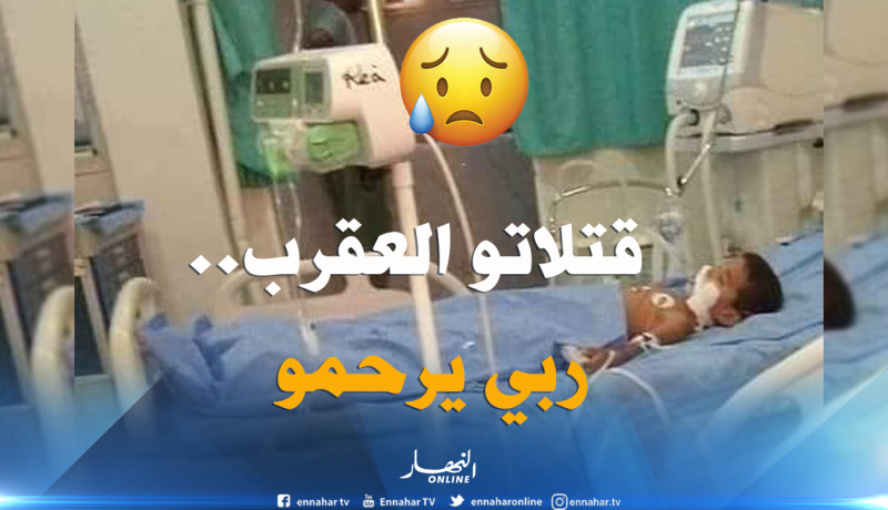 مصرع شخصين بعد تلقيهما لدغتي أفعى وعقرب بالوادي