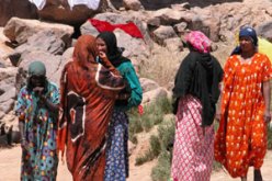 جمعية الاهقار تطالب الجهات الوصية بانقاذ مهرجان تين هينان الدولي