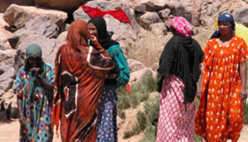 جمعية الاهقار تطالب الجهات الوصية بانقاذ مهرجان تين هينان الدولي