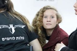 إنستغرام يحذف رسالة الفنانة شريهان إلى عهد التميمي