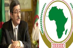 محادثات أويحيى مع الرئيس التونسي ورئيس نيجيريا السابق باديسا بابا