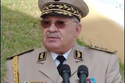 الفريق أحمد قايد صالح يؤكد على التعاون و المساعدة المتبادلة بين دول الساحل