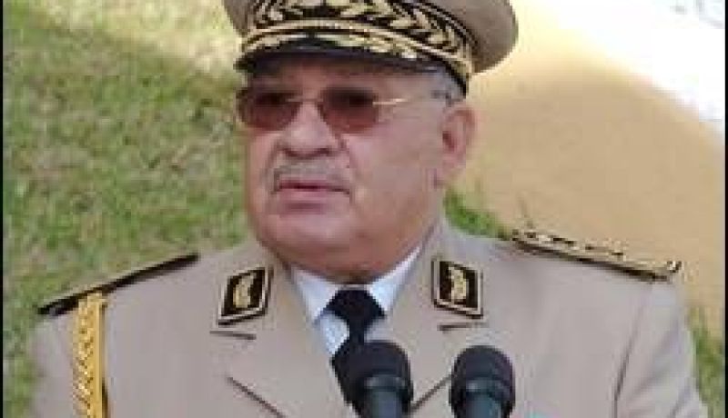 الفريق أحمد قايد صالح يؤكد على التعاون و المساعدة المتبادلة بين دول الساحل