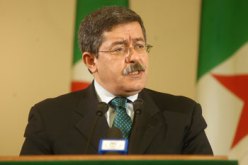 امرأة جزائرية تبيعنا البطاطا من كندا؟