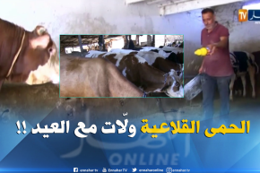 تسجيل حالات الحمى القلاعية مع إقتراب عيد الأضحى ..لماذا !!؟