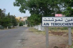 مقر ولاية عين تموشنت يتحول لقبلة للمحتجين الرافعين لمختلف الانشغالات