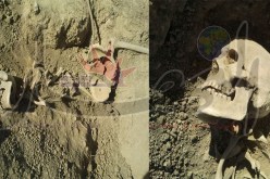 اكتشاف هياكل عظمية في العراء بمنطقة «التمامرة» في عين الدفلى