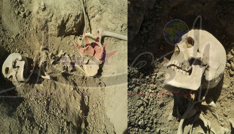 اكتشاف هياكل عظمية في العراء بمنطقة «التمامرة» في عين الدفلى