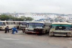 مؤسسة عمومية للنقل الحضري في طور الانجاز بعين تموشنت