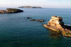 تصنيف جزيرة رشقون بعين تيموشنت ضمن اتفاقية رامسار دعم لحماية الموقع