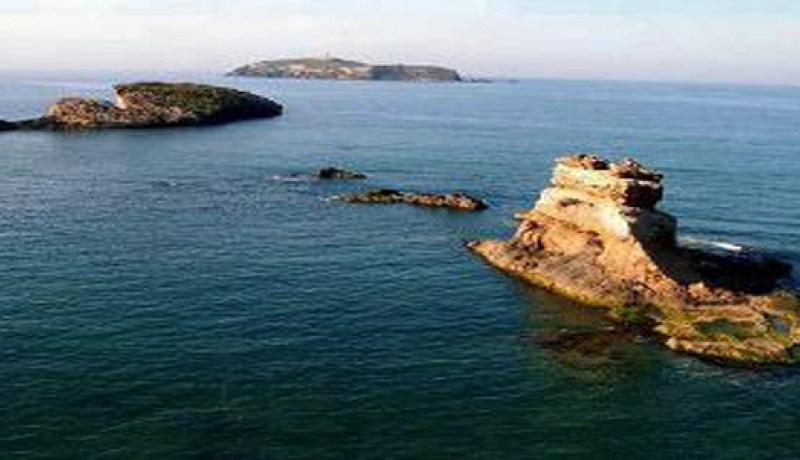 تصنيف جزيرة رشقون بعين تيموشنت ضمن اتفاقية رامسار دعم لحماية الموقع