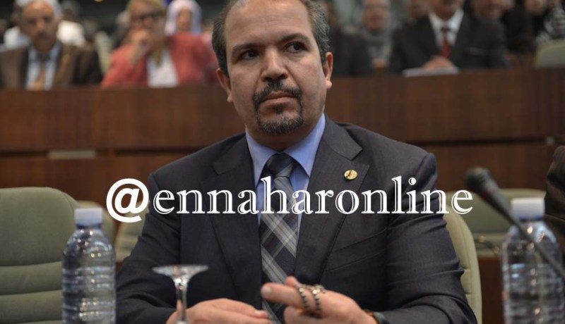 محمد عيسى: هيئة إفتاء فردية نابعة من الملتقى الدولي للمذهب المالكي قريبا