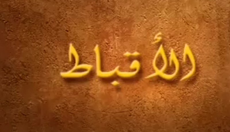 الاقباط يطلبون المشاركة في الحوار الوطني الذي بدأه عمر سليمان