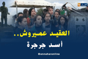 تيزي وزو: العقيد عميروش..أسد جرجرة مفخرة الجزائر