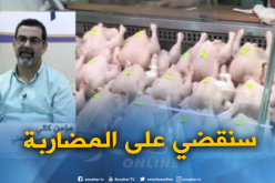 مؤمن كالي: “أسعار الدجاج ستنخفض خلال 3 أسابيع”