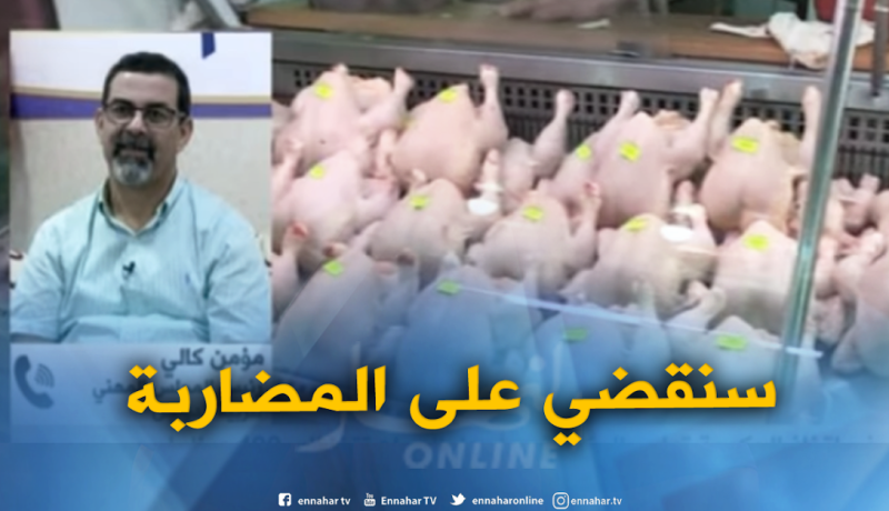 مؤمن كالي: “أسعار الدجاج ستنخفض خلال 3 أسابيع”