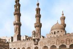 حق المرأة في تعدد الأزواج