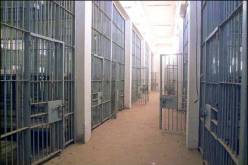 شاب جزائري يضلل العراقيين والجيـش الأمريكي 8 سنوات بهوية مزورة