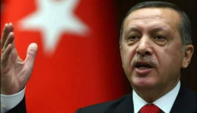 اردوغان: تركيا لا تنوي مهاجمة سورية