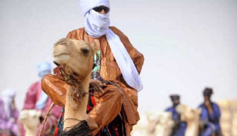 الجزائر تدعو الى تسوية سياسية في مالي عن طريق الحوار