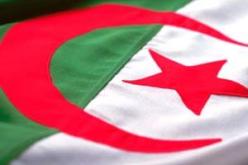 20 ألف علم وطني للأنصارتفاديا لإستعمال الفيميجان