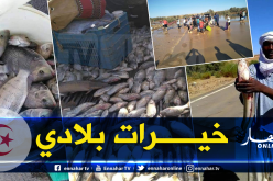 سكان إليزي يصطادون الأسماك في عمق الصحراء الجزائرية