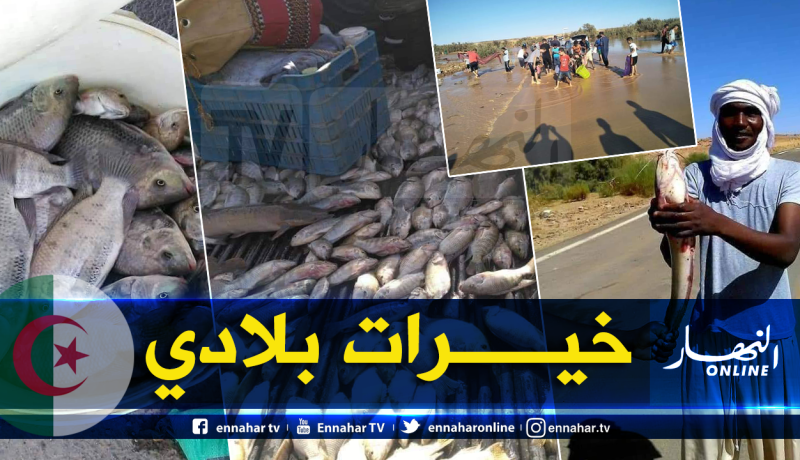 سكان إليزي يصطادون الأسماك في عمق الصحراء الجزائرية