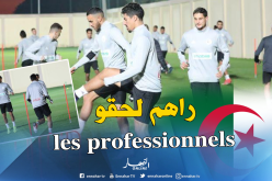 المُحترفون يُدعِمون “الخضر” قبل سفرية “قطر”!