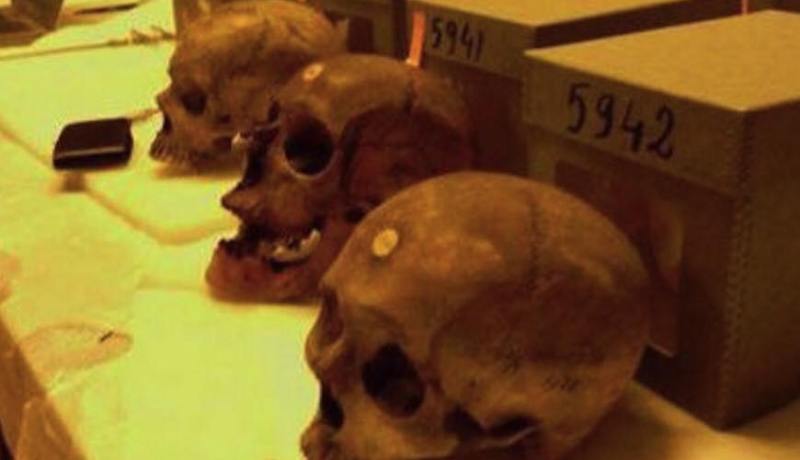 هل ستسترجع الجزائر جماجم شهدائها؟