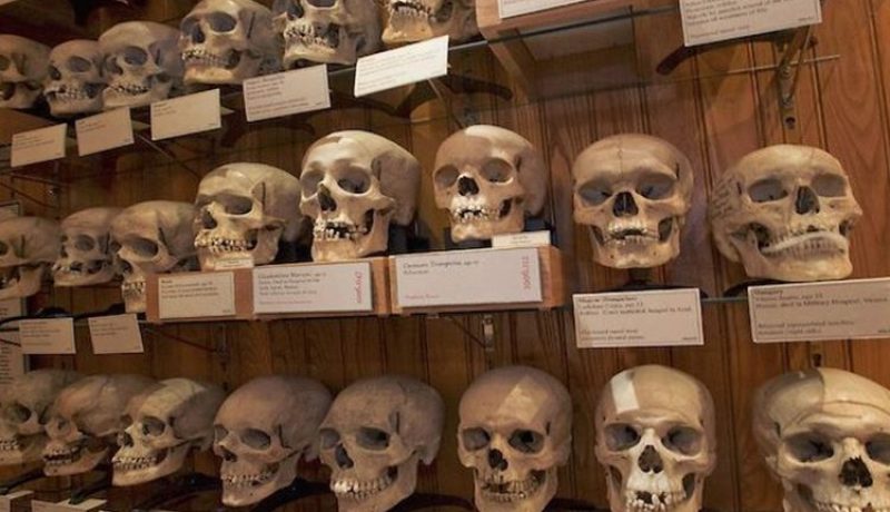 إقلاع الطائرة العسكرية الجزائرية القادمة من فرنسا وعلى متنها رفات 24 شهيدا