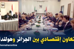 مساهل: للجزائر وهولندا إرادة مشتركة في تكثيف التعاون الإقتصادي
