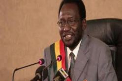 الرئيس المالي بالوكالة يعين رئيس حكومة جديدا