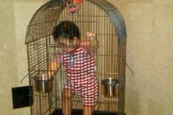 احتجزا طفلتهما في قفص خشبي ليتمكنا من الخروج