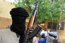 مسؤول روسي: العملية العسكرية بمالي قد تبدأ في خريف عام 2013