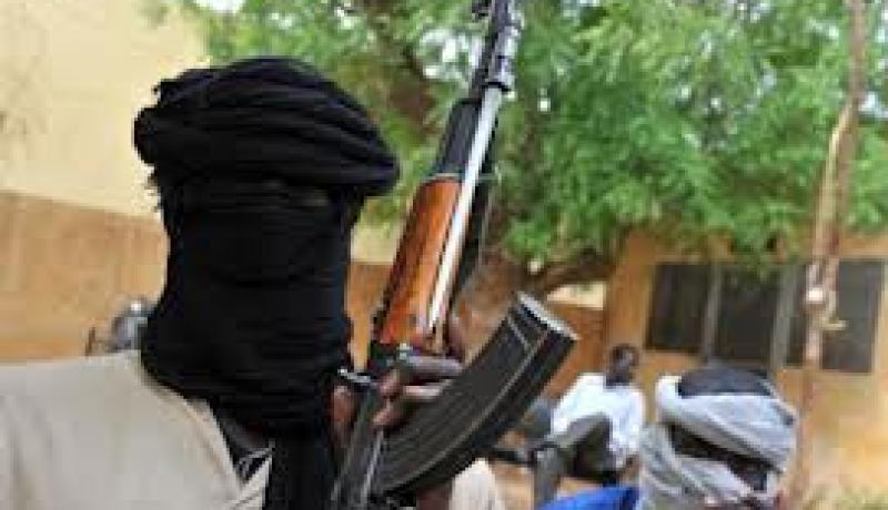 مسؤول روسي: العملية العسكرية بمالي قد تبدأ في خريف عام 2013