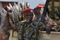 الجيش التشادي يدخل افريقيا الوسطى بطلب من رئيسها لمواجهة زحف المتمردين