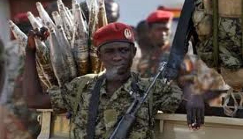 الجيش التشادي يدخل افريقيا الوسطى بطلب من رئيسها لمواجهة زحف المتمردين