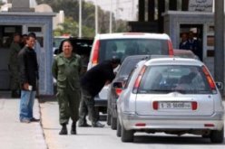 الجمارك الحدودية في تونس تحبط محاولة تهريب 1600 سلحفاة إلى ليبيا