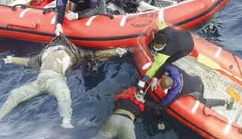 ثمانية قتلى وحوالى 20 مفقودا في غرق عبارة في تنزانيا