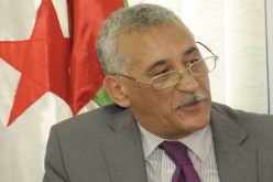 اللجنة الجزائرية للتضامن مع الشعب الصحراوي تدعو إلى إنشاء آلية أممية لحقوق الإنسان