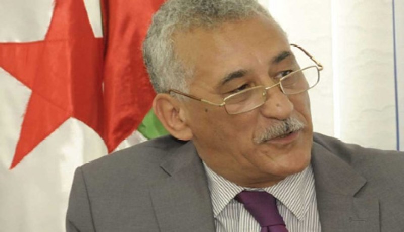اللجنة الجزائرية للتضامن مع الشعب الصحراوي تدعو إلى إنشاء آلية أممية لحقوق الإنسان