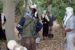 جوائز مالية من القاعدة لمن يقتل سفير أميريكا أو أحد جنودها